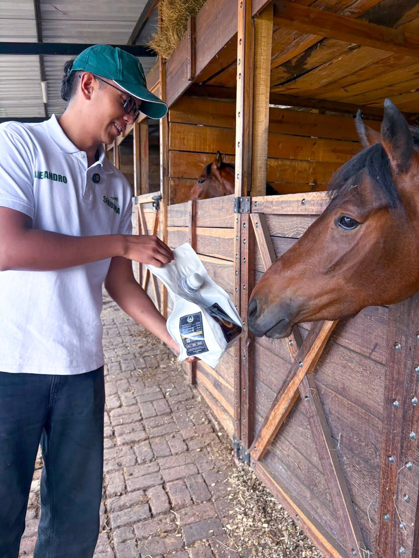 Entrega del pack NUTRIWAXX-EQI Premium a un caballo en el establo