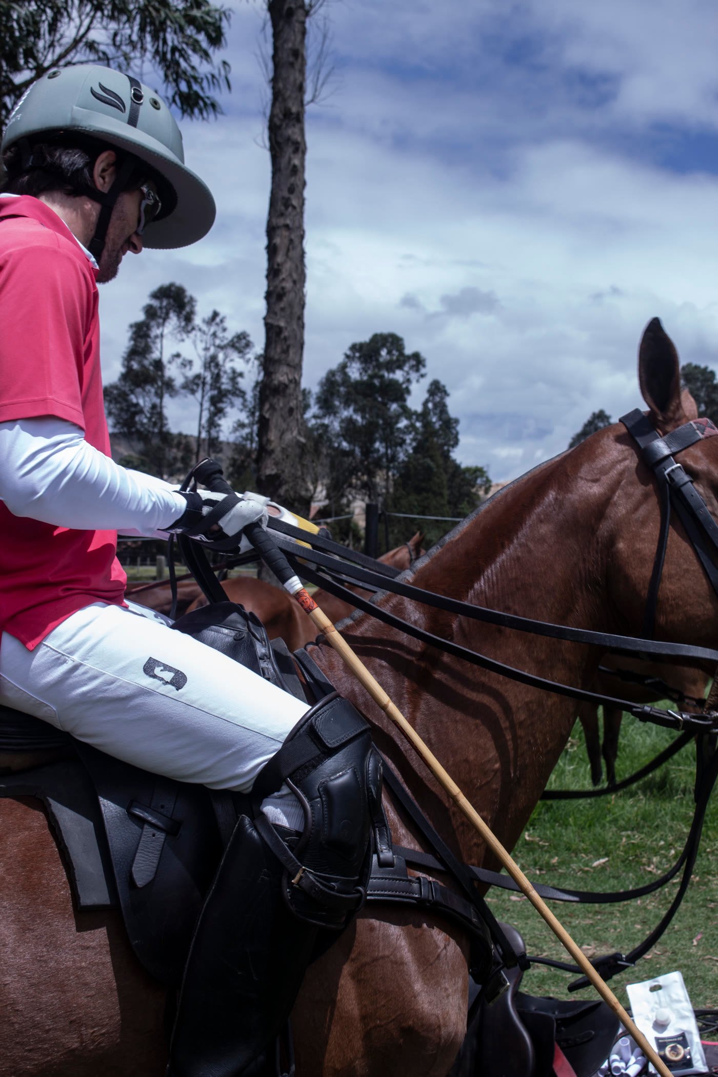Jinete de polo en plena acción sobre su caballo