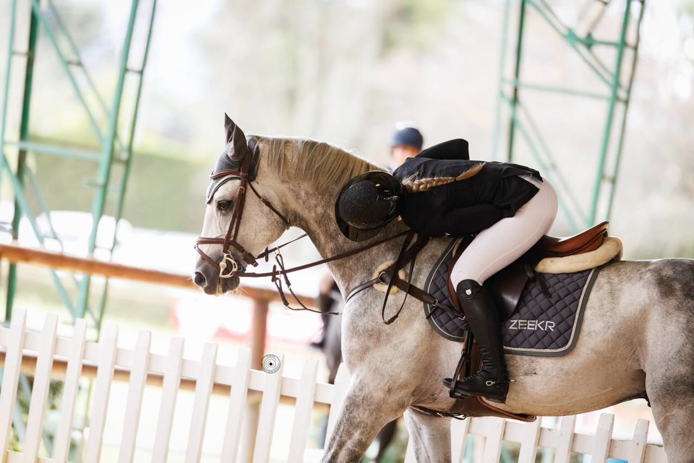 Caballo de salto en plena competencia, jinete en el aire